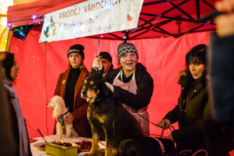 Prodej vánočních psů