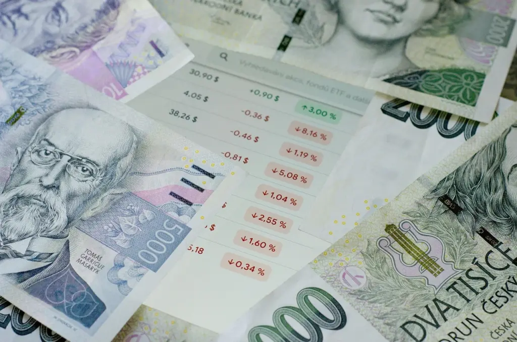 Peníze investice