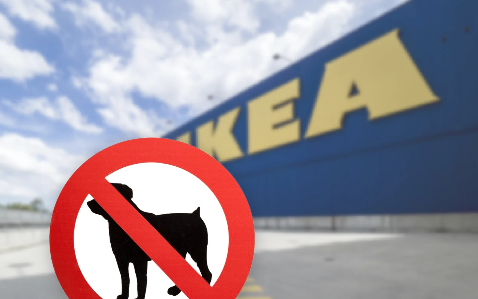 IKEA zákaz psů