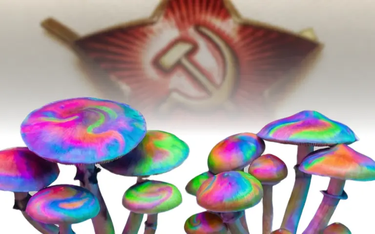 Komunismus a houbičky