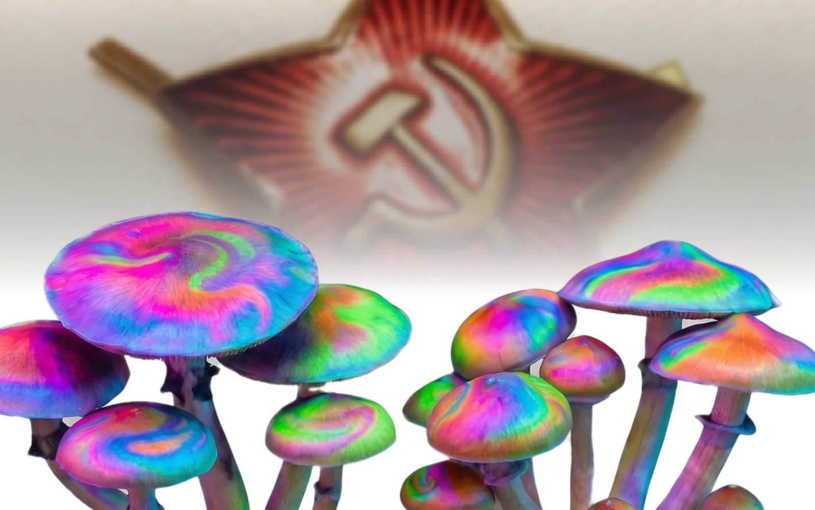 Komunismus a houbičky